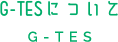 G-TESについて